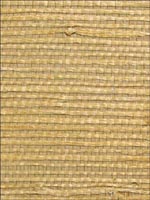 Jute Fine Wallpaper SN264 by Astek Wallpaper for sale at Wallpapers To Go