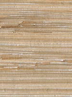 Tereza Silver Foil Grasscloth Wallpaper 262230272 by Kenneth James Wallpaper for sale at Wallpapers To Go