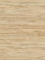 Daria Neutral Grasscloth Wallpaper 262265621 by Kenneth James Wallpaper for sale at Wallpapers To Go
