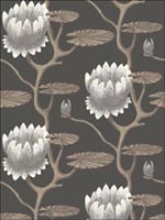 Summer Lily Black White Gold Wallpaper 954026 by Cole and Son Wallpaper for sale at Wallpapers To Go