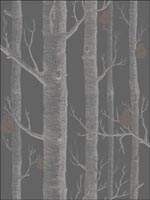 Woods and Pears Gilver Black Wallpaper 955031 by Cole and Son Wallpaper for sale at Wallpapers To Go