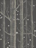 Woods and Stars Charcoal Wallpaper 10311053 by Cole and Son Wallpaper for sale at Wallpapers To Go