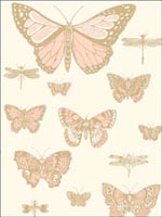 Butterflies and Dragonflies Pink On Iovry Wallpaper 10315066 by Cole and Son Wallpaper for sale at Wallpapers To Go