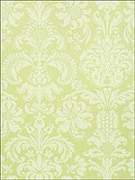 Ashley Damask Citron Wallpaper T89168 by Thibaut Wallpaper for sale at Wallpapers To Go