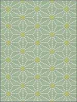 Japonica Lilypad Upholstery Fabric 32849435 by Kravet Fabrics for sale at Wallpapers To Go