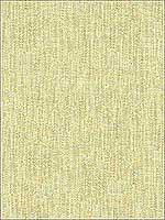Benecia Celery Multipurpose Fabric 345661516 by Kravet Fabrics for sale at Wallpapers To Go