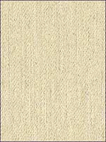 Chola Linen Flax Upholstery Fabric 3380616 by Kravet Fabrics for sale at Wallpapers To Go