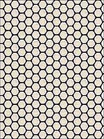 Encircle Ink Upholstery Fabric 33500516 by Kravet Fabrics for sale at Wallpapers To Go