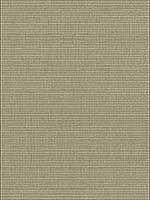 Aport Coconut Multipurpose Fabric 3352511 by Kravet Fabrics for sale at Wallpapers To Go