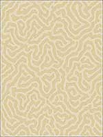 Coral Cream Wallpaper 1065068 by Cole and Son Wallpaper for sale at Wallpapers To Go