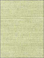 Shang Extra Fine Sisal Willow Wallpaper T5016 by Thibaut Wallpaper for sale at Wallpapers To Go
