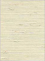 Cebu Cream Grasscloth Wallpaper 273265651 by Kenneth James Wallpaper for sale at Wallpapers To Go