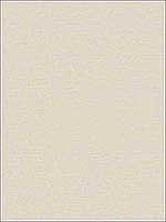 Coastal Hemp Ivory Wallpaper BV30407 by Collins and Company Wallpaper for sale at Wallpapers To Go