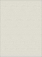 Starwart Light Grey Miniature Floral Wallpaper 294827026 by A Street Prints Wallpaper for sale at Wallpapers To Go