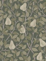 Pirum Green Pear Wallpaper 299913105 by A Street Prints Wallpaper for sale at Wallpapers To Go