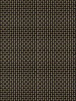 Petal Black Wallpaper RP7363 by Rifle Paper Co Wallpaper for sale at Wallpapers To Go