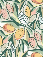 Meyer Peach Citrus Wallpaper 401426419 by A Street Prints Wallpaper for sale at Wallpapers To Go