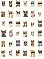 Cool Cats Multi White Peel and Stick Wallpaper WTG-245070 by Rifle Paper Co Wallpaper for sale at Wallpapers To Go