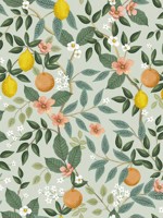 Citrus Grove Mint Peel and Stick Wallpaper WTG-245087 by Rifle Paper Co Wallpaper for sale at Wallpapers To Go