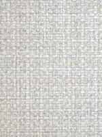 Jute Silver Dollar Wallpaper WTG-245583 by Scalamandre Wallpaper for sale at Wallpapers To Go
