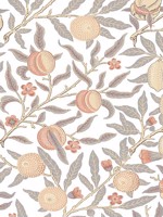 Pomegranate Daydream Grey and Melon Peel and Stick Wallpaper WTG-250952 by NextWall Wallpaper for sale at Wallpapers To Go