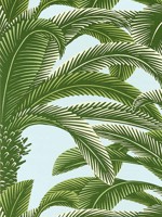 Queen Palm Green and Blue Wallpaper WTG-254263 by Thibaut Wallpaper for sale at Wallpapers To Go