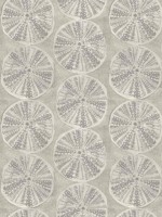 Sea Biscuit Grey Sand Dollar Wallpaper WTG-254634 by Chesapeake Wallpaper for sale at Wallpapers To Go