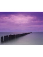  Purple Pier 6 Panel Mural WTG-256496 by Galerie Wallpaper for sale at Wallpapers To Go