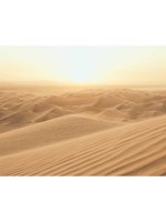  Sand Dune 6 Panel Mural WTG-256497 by Galerie Wallpaper for sale at Wallpapers To Go
