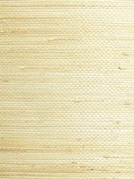 Natural Jute Cotton Wallpaper WTG-259140 by Scalamandre Wallpaper for sale at Wallpapers To Go