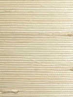 Natural Jute Cotton In The Raw Wallpaper WTG-259141 by Scalamandre Wallpaper for sale at Wallpapers To Go