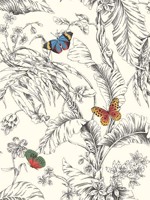 Papillon Primary Wallpaper WTG-261574 by York Wallpaper for sale at Wallpapers To Go