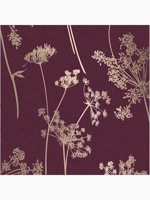 Anthriscus Plum Purple Floral Wallpaper WTG-262623 by Graham and Brown Wallpaper for sale at Wallpapers To Go