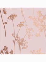 Anthriscus Blush Pink Floral Wallpaper WTG-262624 by Graham and Brown Wallpaper for sale at Wallpapers To Go