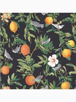 Amalfi Umore Black Tropical Wallpaper WTG-262629 by Graham and Brown Wallpaper for sale at Wallpapers To Go