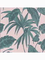 Palma Blush Pink Leaves Tropical Wallpaper WTG-262722 by Graham and Brown Wallpaper for sale at Wallpapers To Go