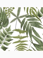 Midsummer Fern Lush White Green Tropical Leaves Wallpaper WTG-262732 by Graham and Brown Wallpaper for sale at Wallpapers To Go