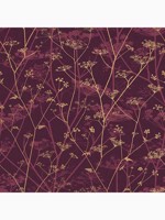 Clarissa Hulse Wild Chervil Damson and Gold Wallpaper WTG-262854 by Graham and Brown Wallpaper for sale at Wallpapers To Go