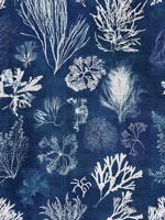 Algae Navy Blue Wallpaper WTG-265348 by Mind the Gap Wallpaper for sale at Wallpapers To Go