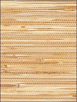 Thibaut Grasscloth Resource Wallpaper T5051 by Thibaut Wallpaper for sale at Wallpapers To Go