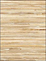 Thibaut Grasscloth Resource Wallpaper T5054 by Thibaut Wallpaper for sale at Wallpapers To Go