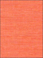 Thibaut Grasscloth Resource Wallpaper T5017 by Thibaut Wallpaper for sale at Wallpapers To Go