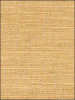 Thibaut Grasscloth Resource Wallpaper T5036 by Thibaut Wallpaper for sale at Wallpapers To Go