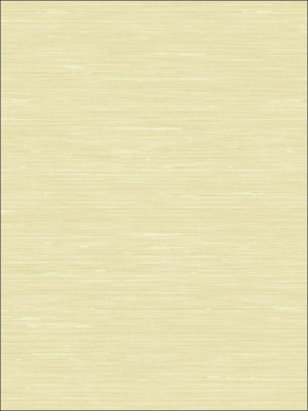 Babington Silk Plain Wallpaper CB24806 by Seabrook Designer Series Wallpaper for sale at Wallpapers To Go