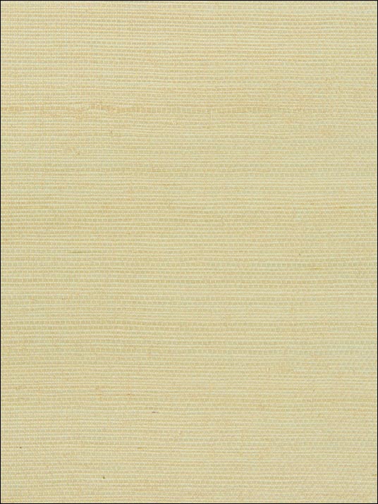 Grasscloth Wallpaper W310616 by Kravet Wallpaper for sale at Wallpapers To Go