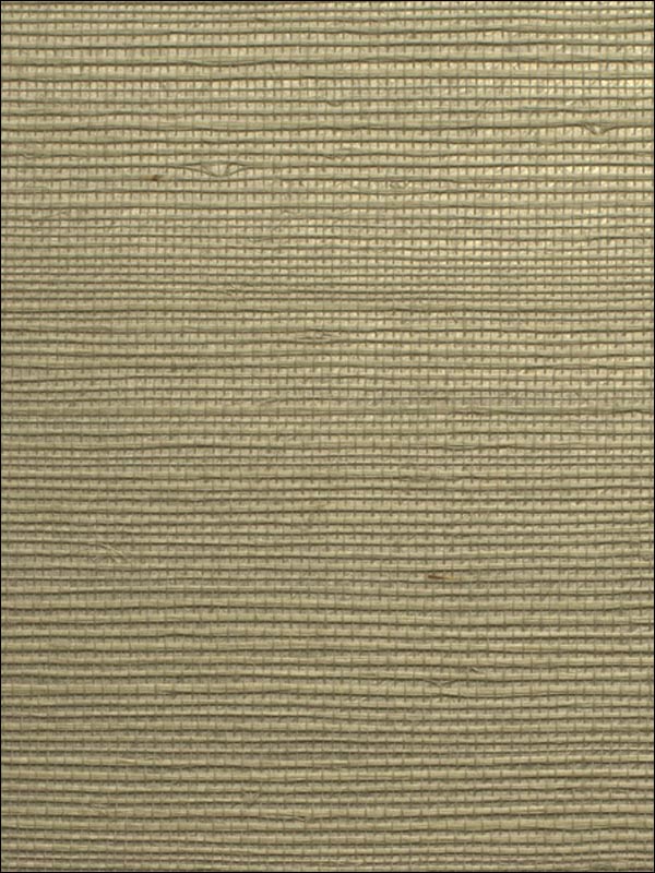 Sisal on Metallic Wallpaper WOS3460 by Winfield Thybony Design Wallpaper for sale at Wallpapers To Go
