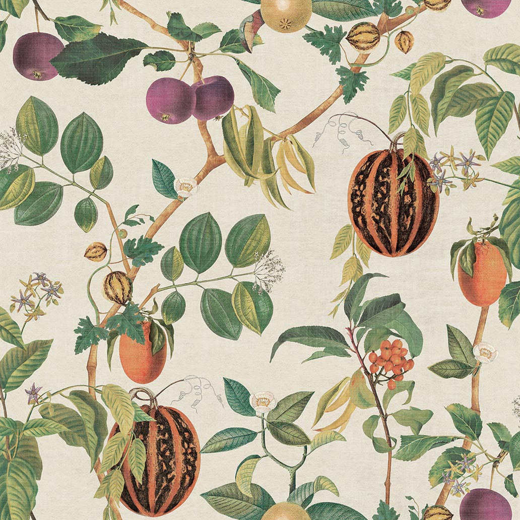 Tropic House Wallpaper in Parchment/Green color - pattern number 100044EH - by Seabrook in the Heritage Tales collection