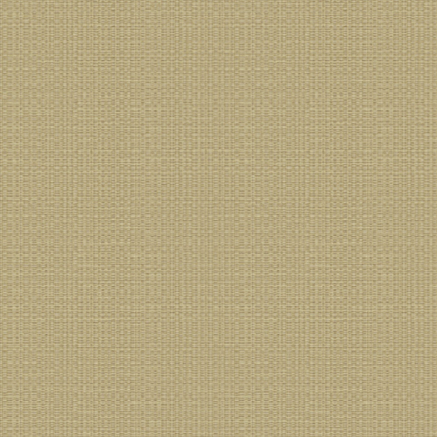 10025 Wallpaper in 38 color - pattern number 1002538WS151 - by JF Fabrics in the Vivid collection