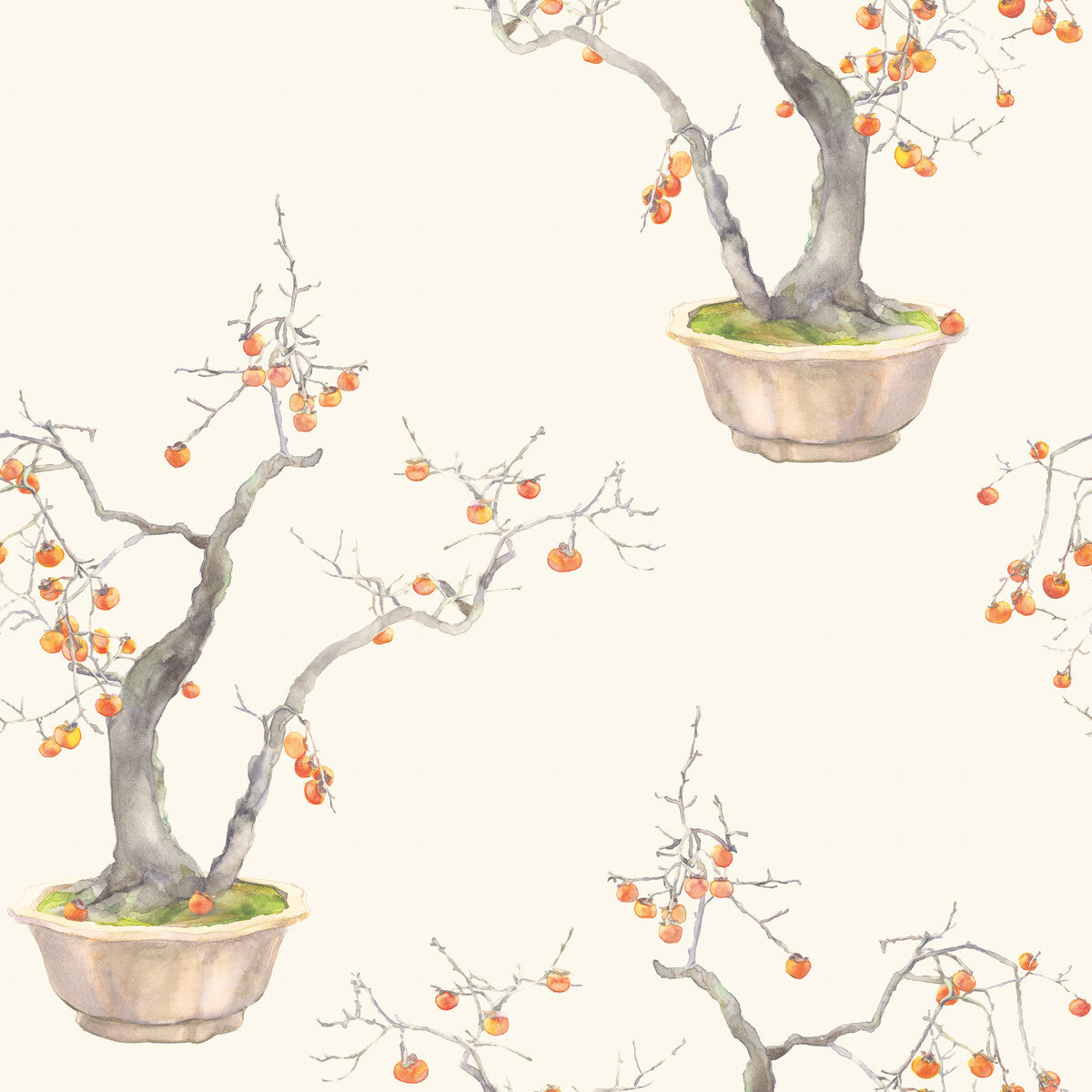 Kaki Persimmon Wallpaper in bergamot color - pattern number 126/2003.CS.0 - by Cole and Son in the Shinrin Yoku collection