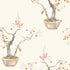 Kaki Persimmon Wallpaper in bergamot color - pattern number 126/2003.CS.0 - by Cole and Son in the Shinrin Yoku collection